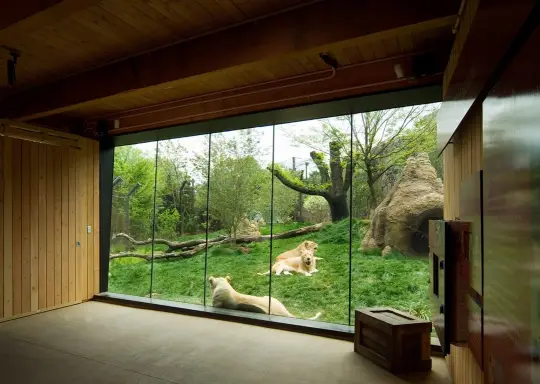 Philadelphia Zoo Infrastructure Enhancements